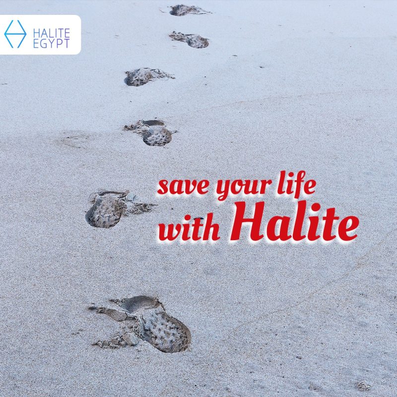 WhatsApp Image 2024-10-17 at 10.00.07 AM (4)